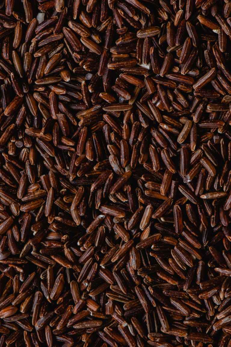 Close up shot red rice grains