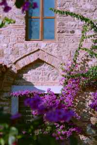 Facade of a house with flowers in the foreground at home date night