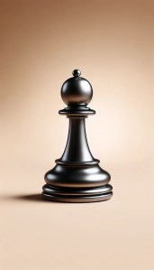 The pawn piece play the game of chess